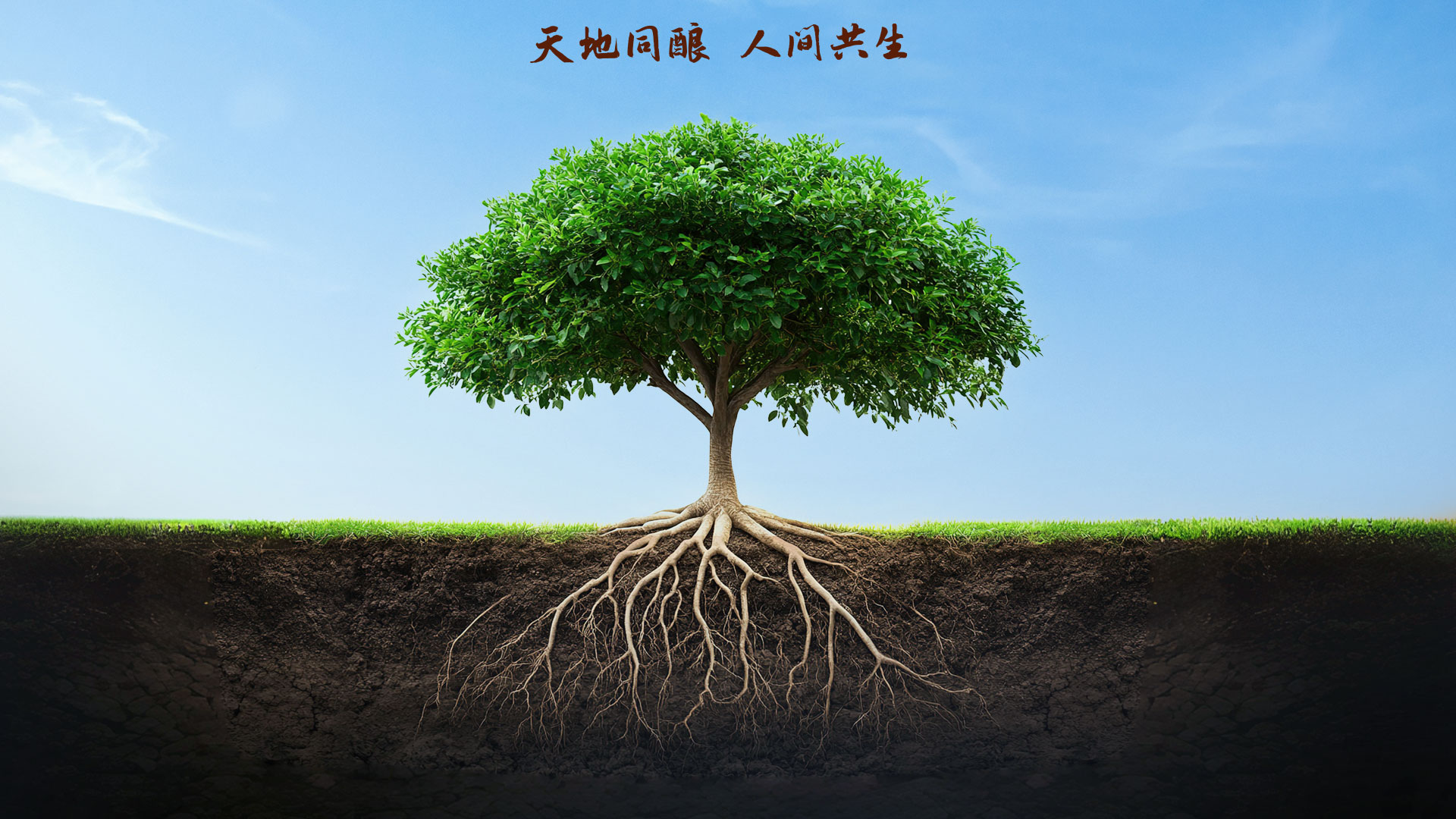 鸿运国际·(中国)集团-鸿运官网接待你